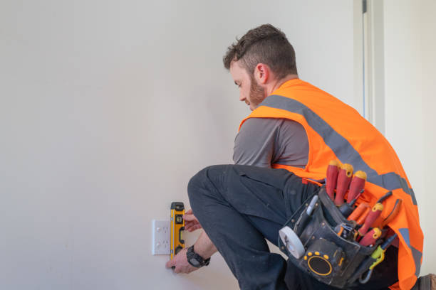 Best Electrical Upgrades for Homes  in Westchase, FL